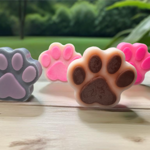 Paw-sitive Vibes – 6 paws