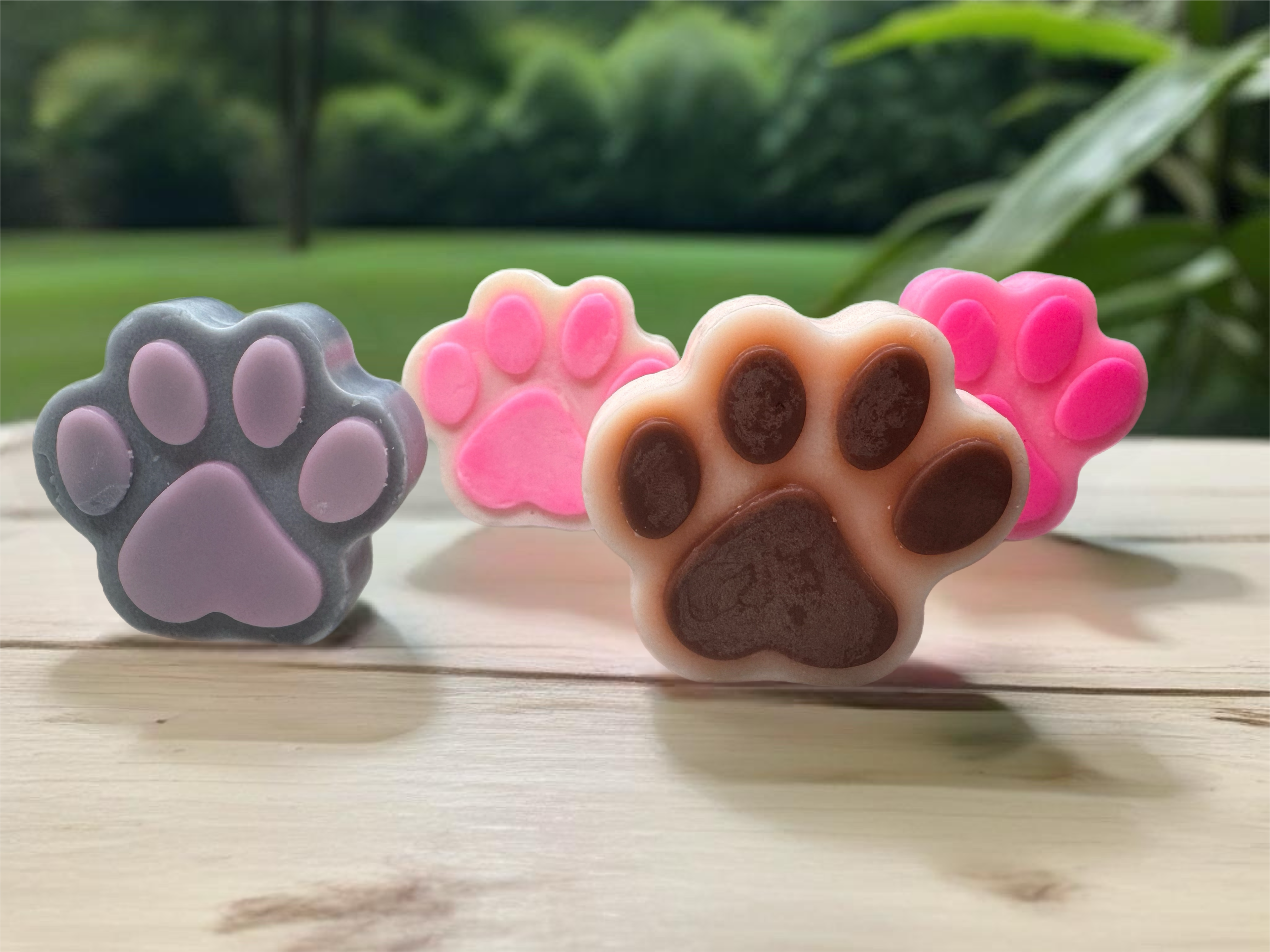 Paw-sitive Vibes – 6 paws